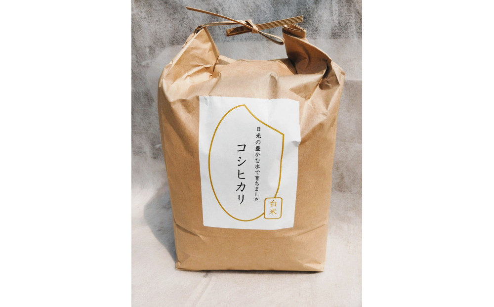 【先行予約受付】≪2025年11月発送≫令和7年産 コシヒカリ 白米 10kg（5kg×2袋） ｜米 お米 新米 数量限定