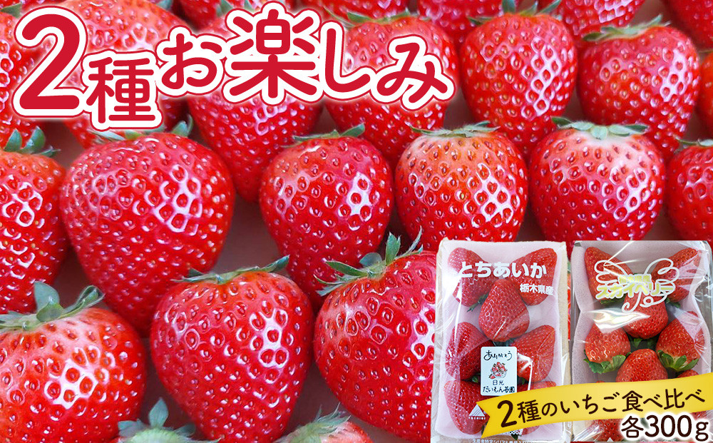 いちご 2種お楽しみ 食べ比べ セット（とちあいか&スカイベリー）【2026年1月初旬より順次発送】 ｜フルーツ いちご 苺 期間限定 とちあいか スカイベリー 栃木 産地直送 産直