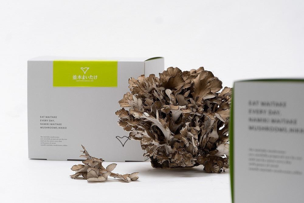 日光並木まいたけ　4株セット（1株約400ｇ×4　計約1600g）【箱入り】