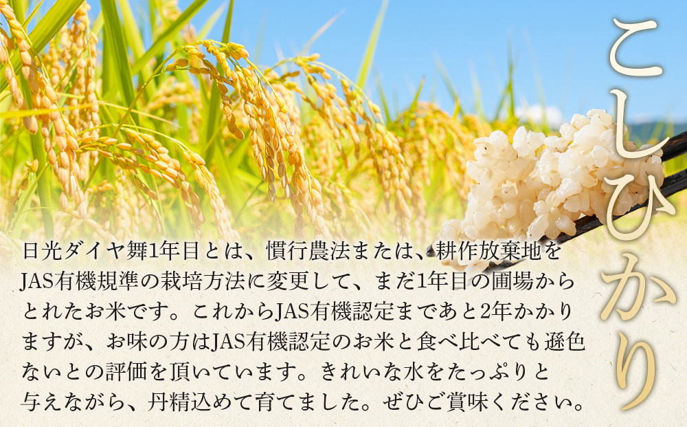 æ¥å
ãã€ã€è 1å¹Žç® çç±³5ãã ææ©æ œå¹ 蟲è¬äžäœ¿çš ããã²ãã 什å7幎床米 ïœ ãç±³ ææ©æ œå¹ ç¡èŸ²è¬ ã³ã·ãã«ãª æ æšç æ¥å
åž