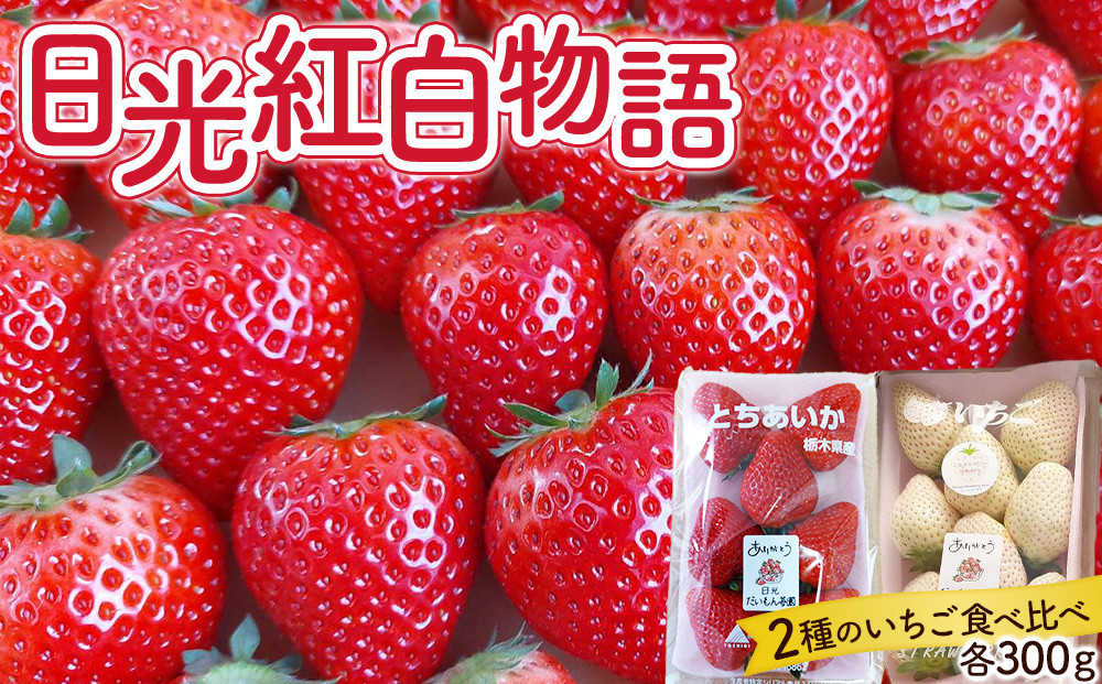 日光紅白物語（とちあいか&ミルキーベリー）【2026年1月初旬より順次発送】 ｜フルーツ いちご 苺 期間限定 とちあいか ミルキーベリー 栃木 産地直送 産直