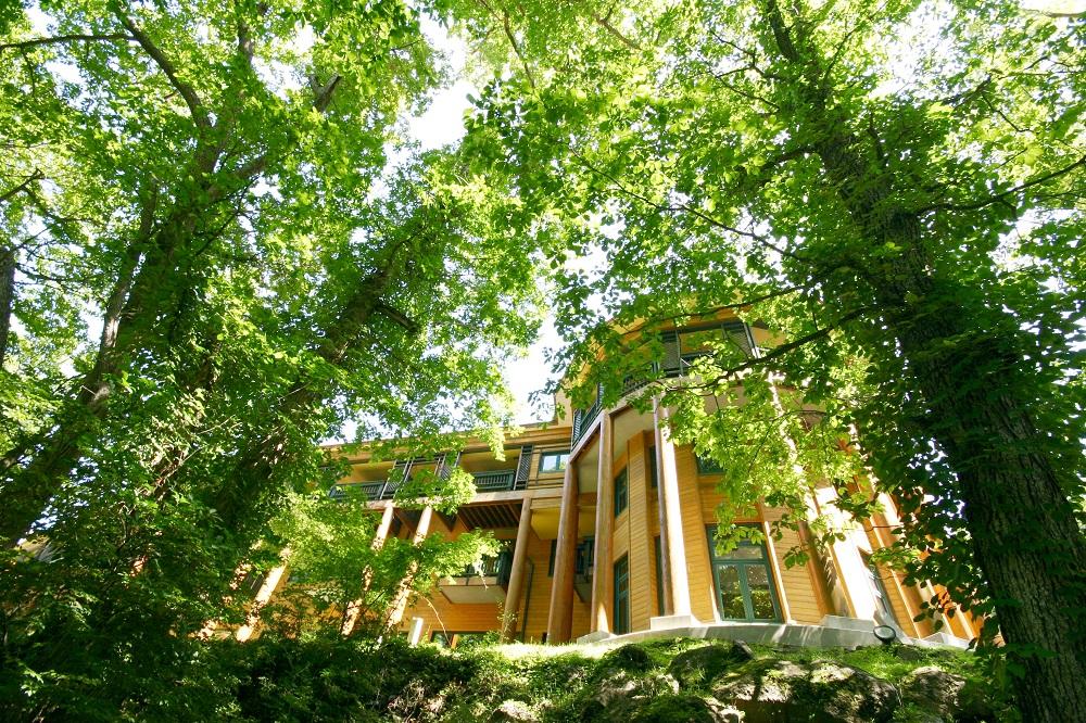 ãäžçŠ
寺éè°·ããã«ã1æ³2é£ä» ãã¢å®¿æ³åžããã€ã€ã«ã¹ã€ãŒãã