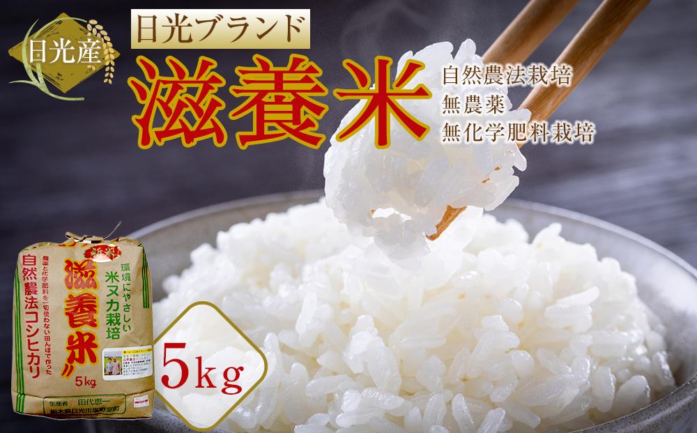 令和7年産 日光産 滋養米　5Kg | 日光ブランド お米 ごはん 自然農法 無農薬 無化学肥料栽培 コシヒカリ 産地直送 産直