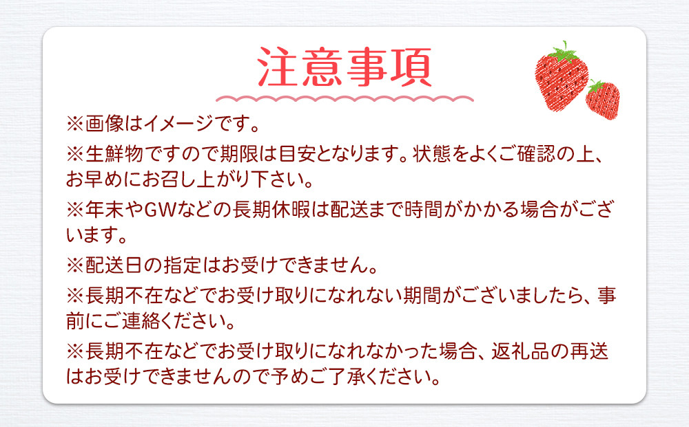 【先行予約】大粒とちあいか1パック＋大粒とちおとめ1パック=（合計）2パック入り【2026年1月上旬より順次発送】 | 生産量 日本一 果物 フルーツ 苺 イチゴ 農家直送 栃木県 日光市