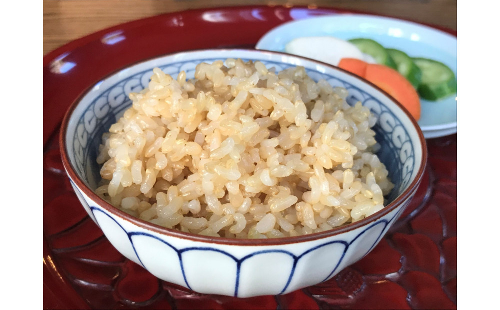 【先行予約受付】≪2025年11月発送≫令和7年産 ゆうだい21 玄米 10kg（5kg×2袋） ｜米 お米 新米 数量限定