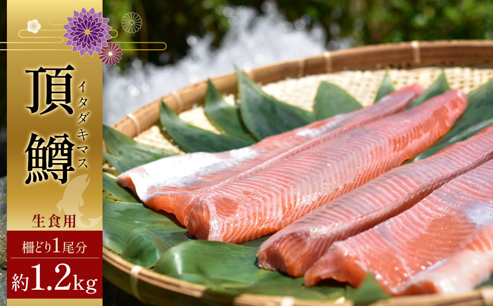 鱒界の頂点を目指しマス！頂鱒（イタダキマス）柵どり （生食用）約1,200g | 鱒 マス ニジマス 刺身 鮮魚  国産 日光市産 