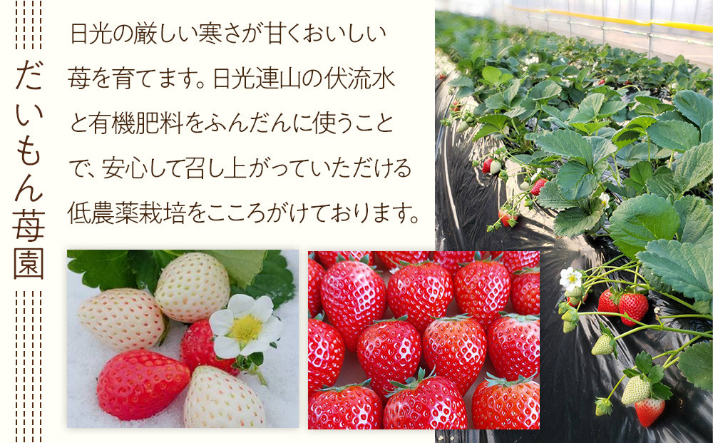 ïŒ4ãæé£ç¶å®æäŸ¿/èš4åïŒã ãããèºåã®äººæ°ã®ãã¡ã4çš®å®æäŸ¿ ã2026幎1æåæ¬ããé æ¬¡çºéã ïœãã«ãŒã ãã¡ã èº æééå® å®æäŸ¿ ãšã¡ããšã ã¹ã«ã€ããªãŒ ãšã¡ããã ãã«ããŒããªãŒ æ æš ç£å°çŽé ç£çŽ