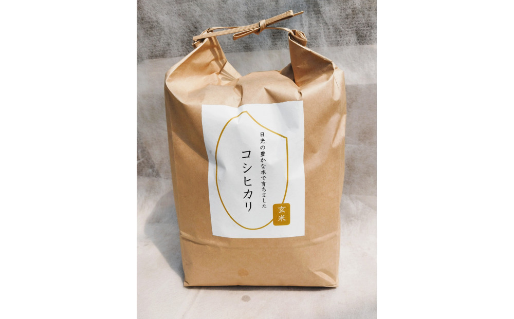 【先行予約受付】≪2025年11月発送≫令和7年産 コシヒカリ 玄米 10kg（5kg×2袋） ｜米 お米 新米 数量限定