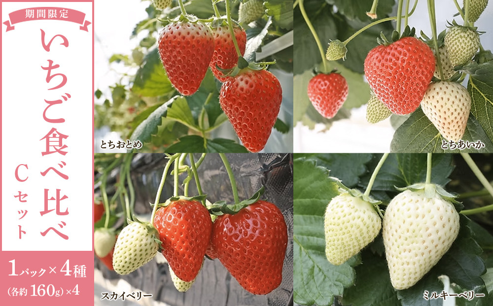 【先行予約受付】≪2026年1月～発送開始≫4種のいちご食べ比べ とちおとめ、とちあいか、スカイベリー、ミルキーベリーのCセット＜各約160ｇ＞ ｜ いちご イチゴ 苺 食べくらべ セット 日光いちご園 渡辺 産地直送 産直 栃木 日光