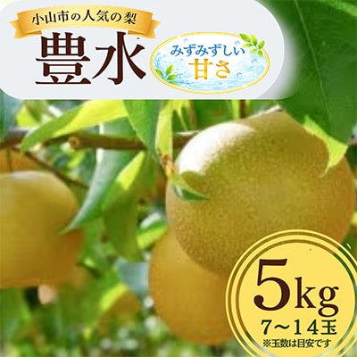 【5kg】栃木県小山市産　豊水 梨【1617299】