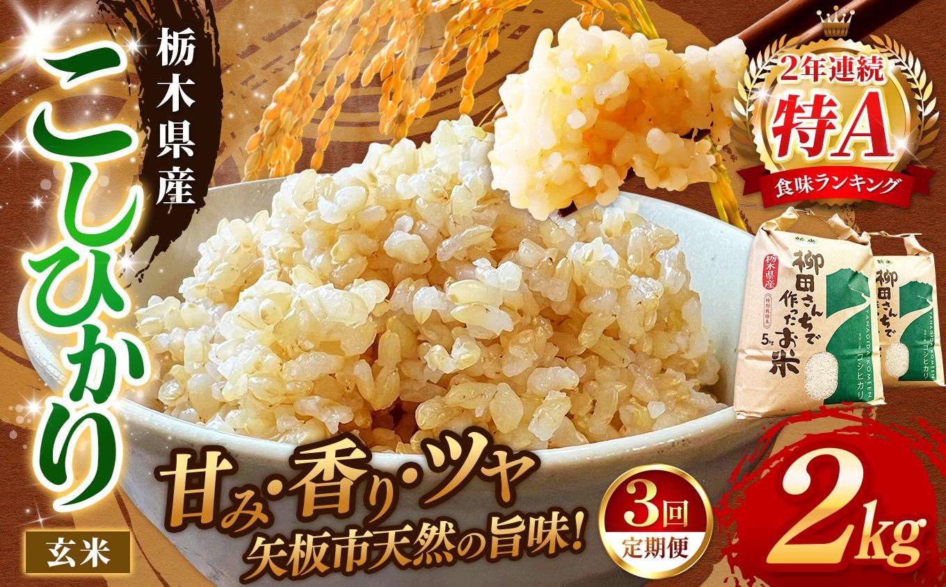 【定期便3回】矢板市特別栽培米 お米 こしひかり 玄米 2kg |栃木県 矢板市