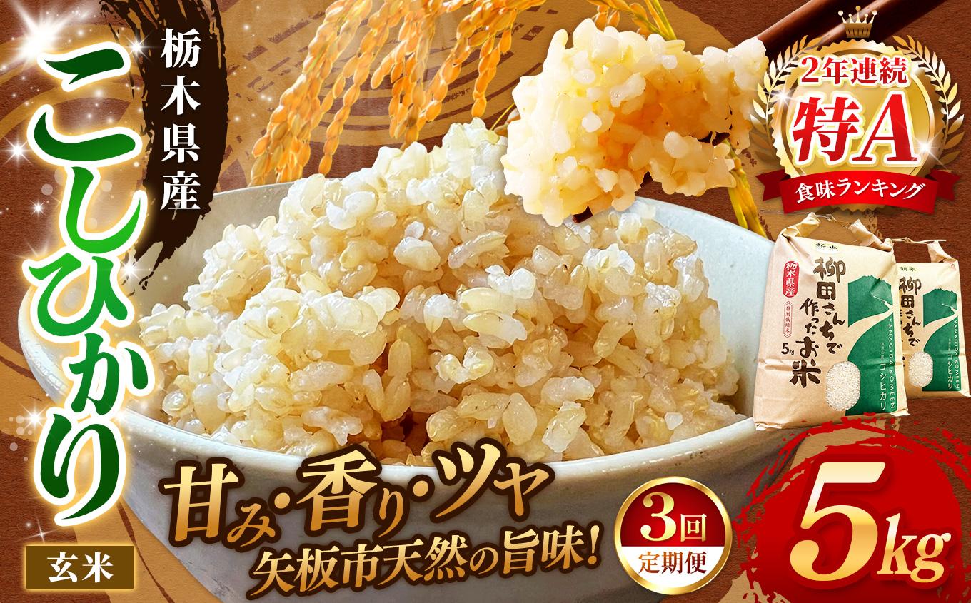 【定期便3回】矢板市特別栽培米 お米 こしひかり 玄米 5kg |栃木県 矢板市