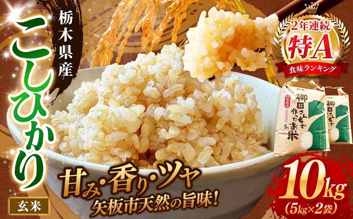 矢板市特別栽培米 お米 こしひかり 玄米 5kg×2P |栃木県 矢板市