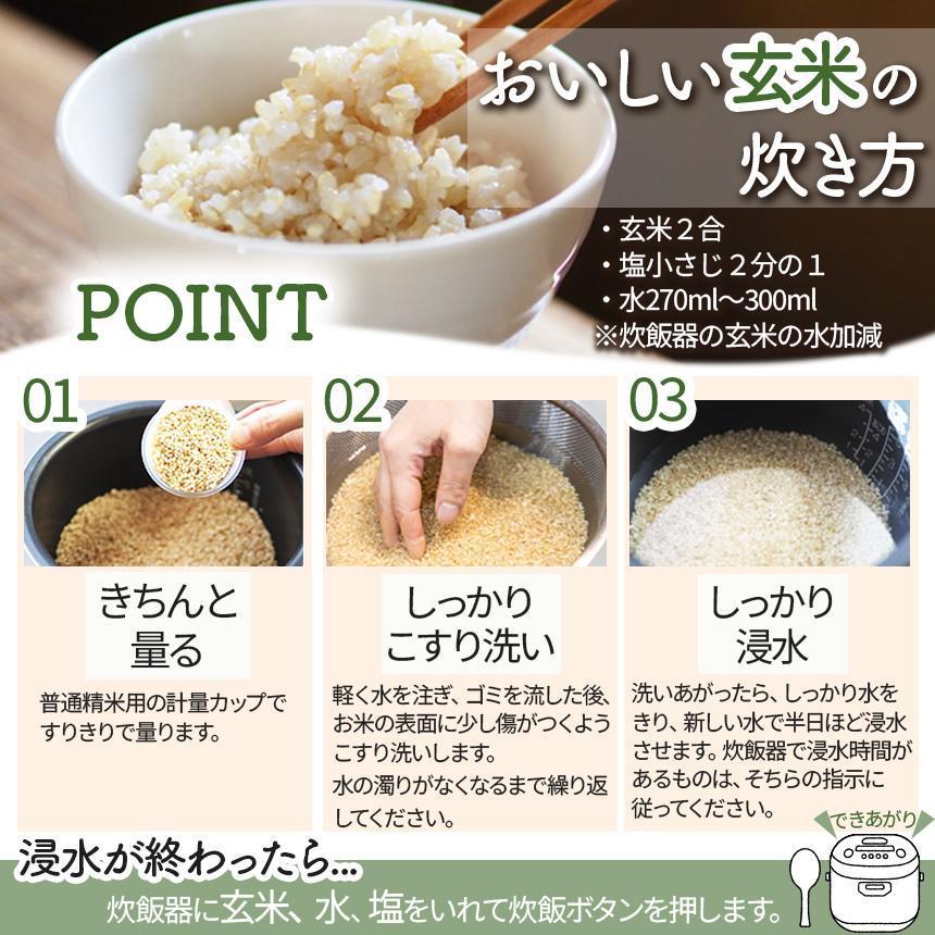 矢板市特別栽培米 お米 こしひかり 玄米 5kg×2P |栃木県 矢板市