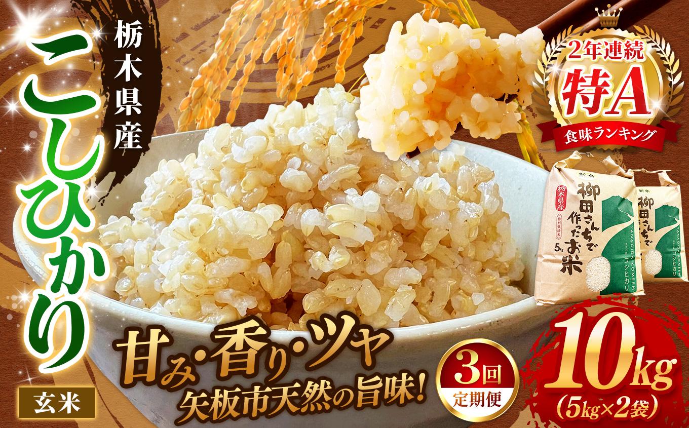 【定期便3回】矢板市特別栽培米 お米 こしひかり 玄米 5kg×2P |栃木県 矢板市