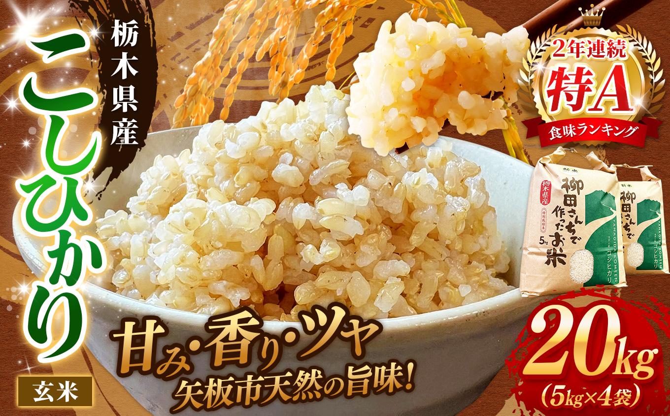 【定期便3回】矢板市特別栽培米 お米 こしひかり 玄米 5kg×4P |栃木県 矢板市