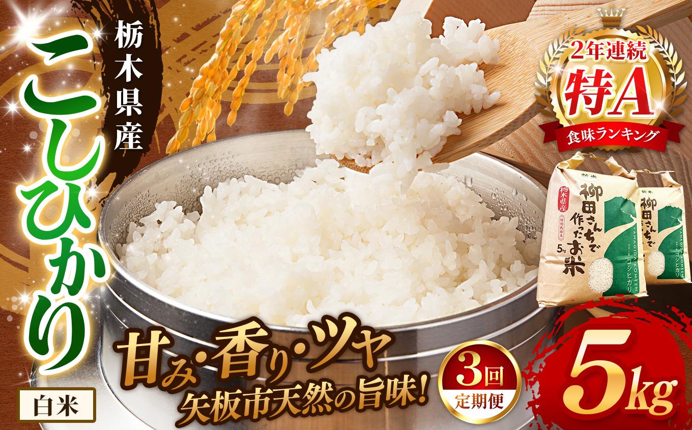 【定期便3回】矢板市特別栽培米 お米 こしひかり 白米 5kg |栃木県 矢板市