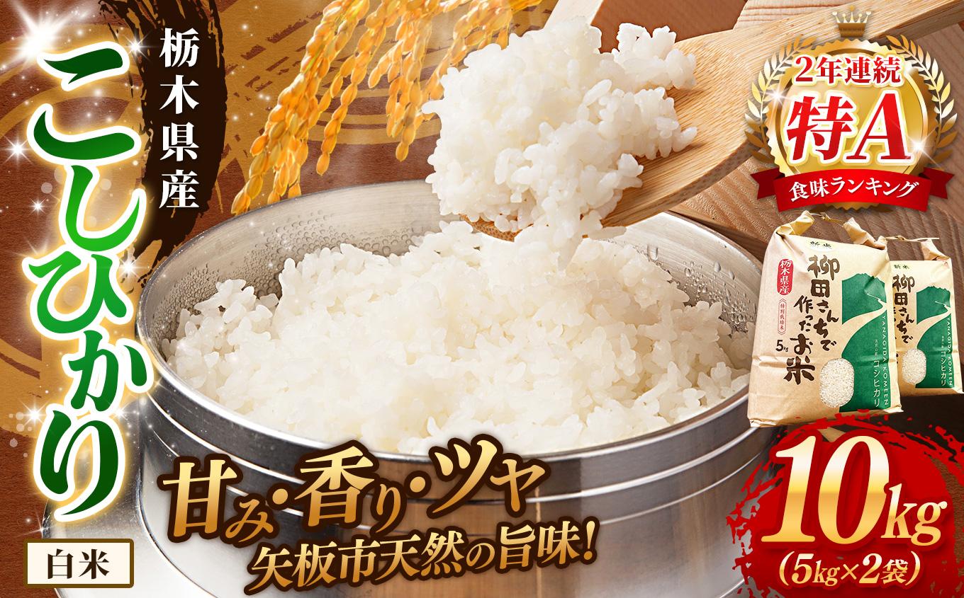 矢板市特別栽培米 お米 こしひかり 白米 5kg×2P |栃木県 矢板市