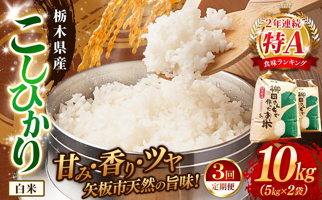 【定期便3回】矢板市特別栽培米 お米 こしひかり 白米 5kg×2P |栃木県 矢板市