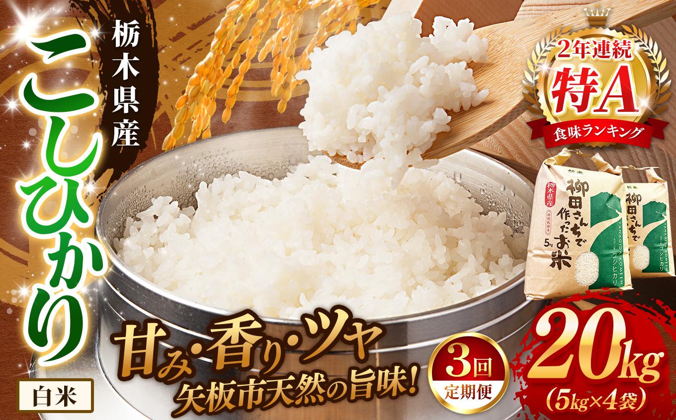 【定期便3回】矢板市特別栽培米 お米 こしひかり 白米 5kg×4P |栃木県 矢板市