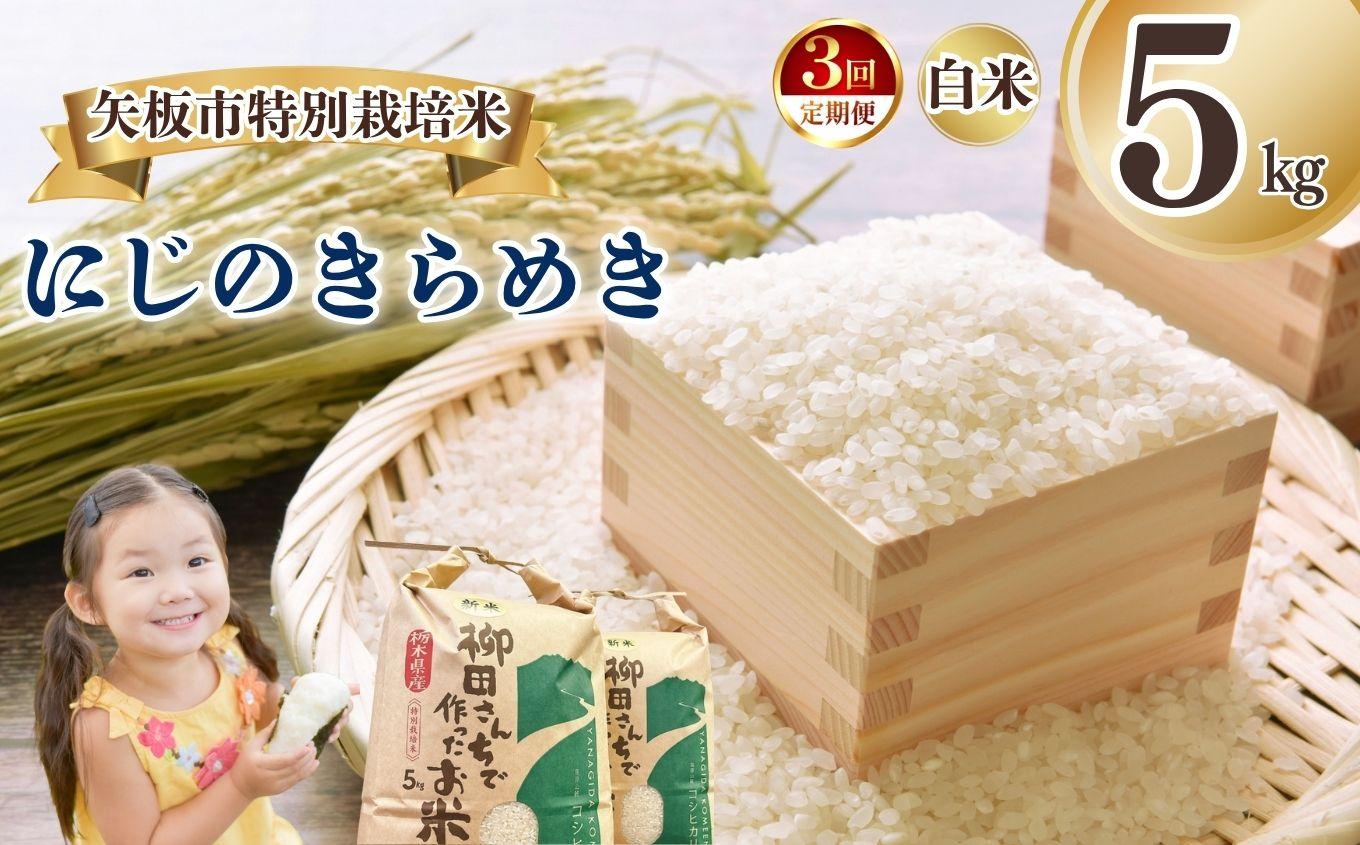 [定期便3回]矢板市特別栽培米 にじのきらめき 白米 5kg | お米 米 こめ 白米 玄米 にじのきらめき コシヒカリ こしひかり 美味しい お弁当 選べる エコ スマート 環境 手間暇 土づくり  ふるさと 納税 栃木県 矢板市