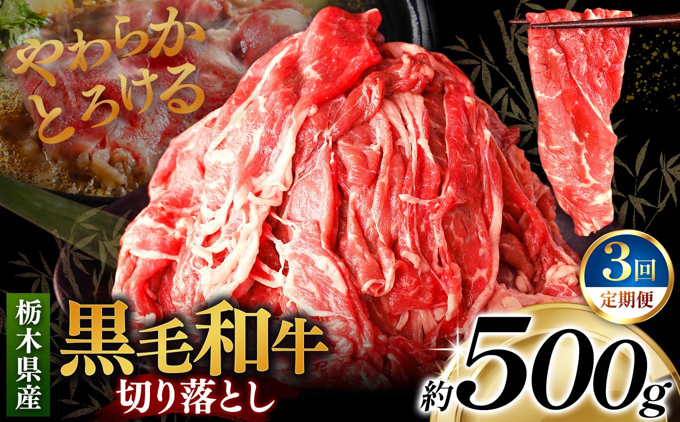 [定期便3回]栃木県産黒毛和牛切り落とし 500g｜数量限定 黒毛 和牛 牛肉 国産牛 国産 ブランド牛 お肉 切り落とし サシ 霜降り 甘い ステーキ すき焼き しゃぶしゃぶ 焼肉 切落し 上品 アレンジ 美味しい 料理 主婦 とちぎ  栃木県 矢板市