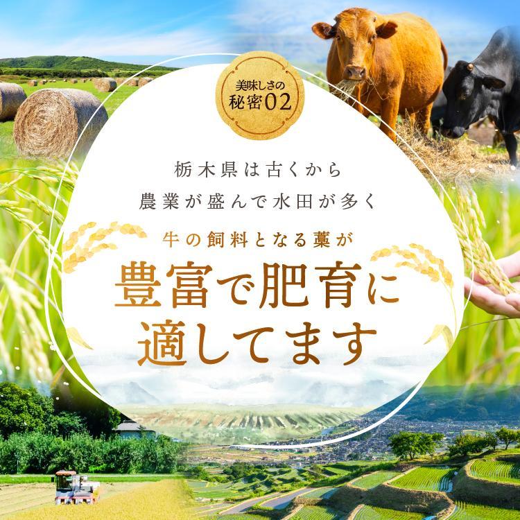 栃木県産黒毛和牛切り落とし 1000g｜数量限定 黒毛 和牛 牛肉 国産牛 国産 ブランド牛 お肉 切り落とし サシ 霜降り 甘い ステーキ すき焼き しゃぶしゃぶ 焼肉 切落し 上品 アレンジ 美味しい 料理 主婦 とちぎ  栃木県 矢板市