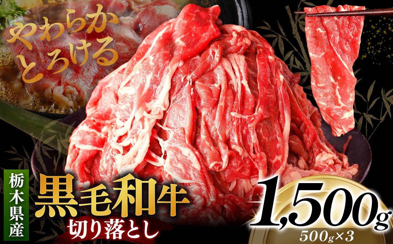 栃木県産黒毛和牛切り落とし 1500g｜数量限定 黒毛 和牛 牛肉 国産牛 国産 ブランド牛 お肉 切り落とし サシ 霜降り 甘い ステーキ すき焼き しゃぶしゃぶ 焼肉 切落し 上品 アレンジ 美味しい 料理 主婦 とちぎ  栃木県 矢板市