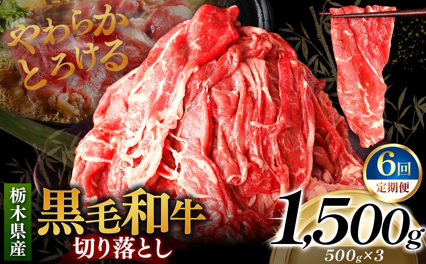 [定期便6回]栃木県産黒毛和牛切り落とし 1500g｜数量限定 黒毛 和牛 牛肉 国産牛 国産 ブランド牛 お肉 切り落とし サシ 霜降り 甘い ステーキ すき焼き しゃぶしゃぶ 焼肉 切落し 上品 アレンジ 美味しい 料理 主婦 とちぎ  栃木県 矢板市