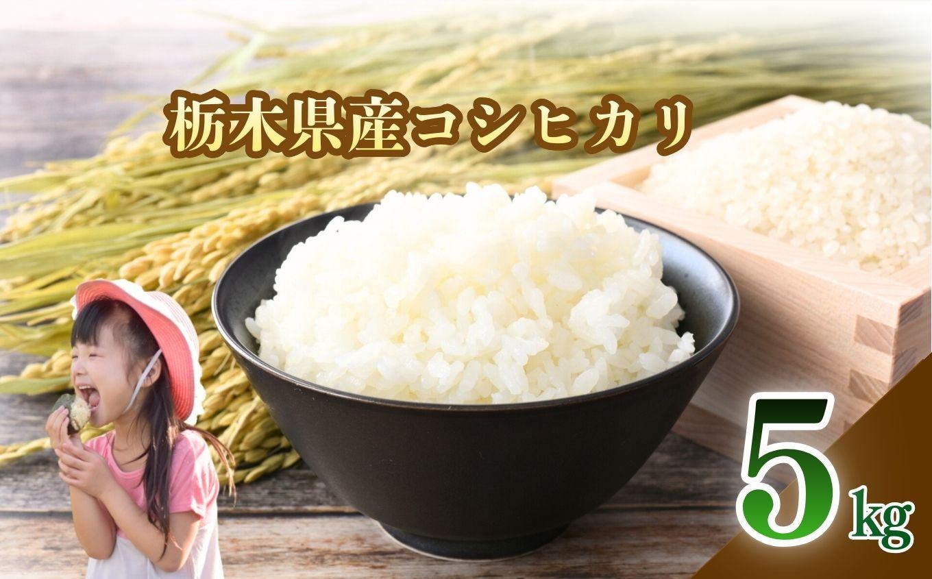 【2026年先行予約】栃木県産 こしひかり 白米 5kg | お米 米 こめ 白米  コシヒカリ こしひかり 美味しい お弁当 選べる ふるさと 納税 栃木県 矢板市