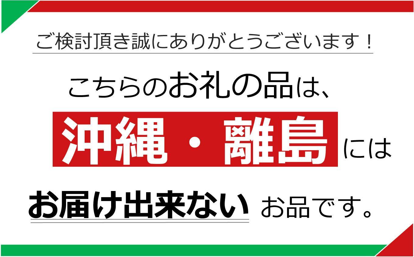 【定期便6回】栃木県産の赤身牛 特製 手ごねハンバーグ 12個入り [ 冷凍便 ]| 定期便 ハンバーグ 栃木県産牛 赤身牛 国産牛 無添加 赤身肉 冷凍 手ごね 肉汁 ジューシー 簡単調理 フライパン 焼き方 お取り寄せ ふるさと納税 栃木県 牛肉 おかず ギフト 家族向け 栃木県 矢板市