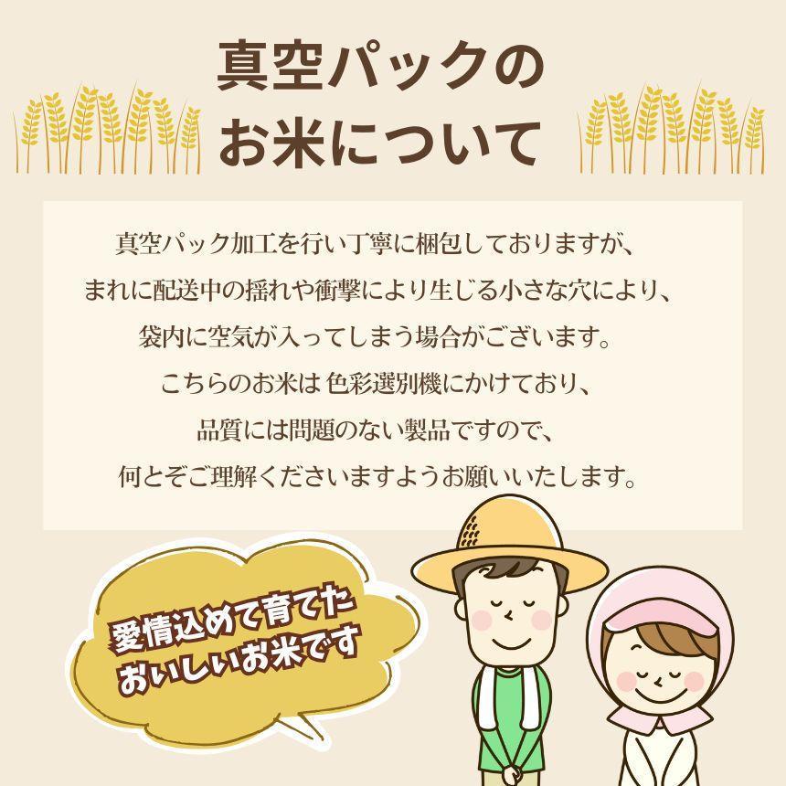 【定期便3回】限定 ポークカレー と コシヒカリ の 贅沢セット！ 選べる 定期便 こしひかり 米 お米 個数  | ココイチ レトルトカレー [栃木県共通返礼品] | レトルト カレー  美味しい ココイチ 非常食 簡単 ストック ふるさと納税 栃木県 矢板市 人気 定番 一人暮らし