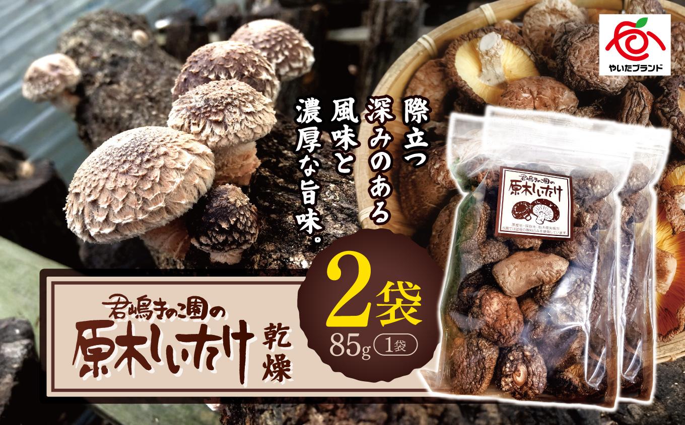 乾燥しいたけ 2袋｜徳用 家庭用 栃木県 矢板市 しいたけ 椎茸 産地直送  乾燥