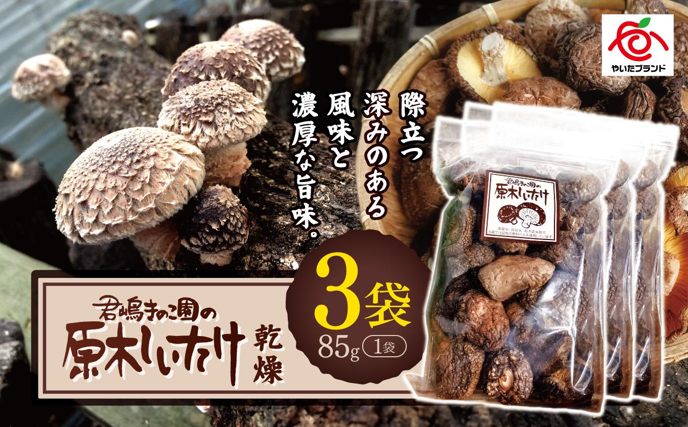 乾燥しいたけ 3袋｜徳用 家庭用 栃木県 矢板市 しいたけ 椎茸 産地直送  乾燥
