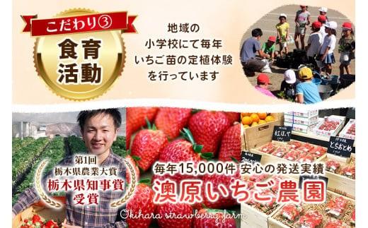 《1月中旬より順次出荷》｜澳原いちご農園のとちおとめ | 280g×4p |いちご 苺 フルーツ 果物 とちおとめ ジューシー 甘い 美味しい 取り寄せ 贅沢 ご褒美 デザート ふるさと 納税 栃木県 矢板市