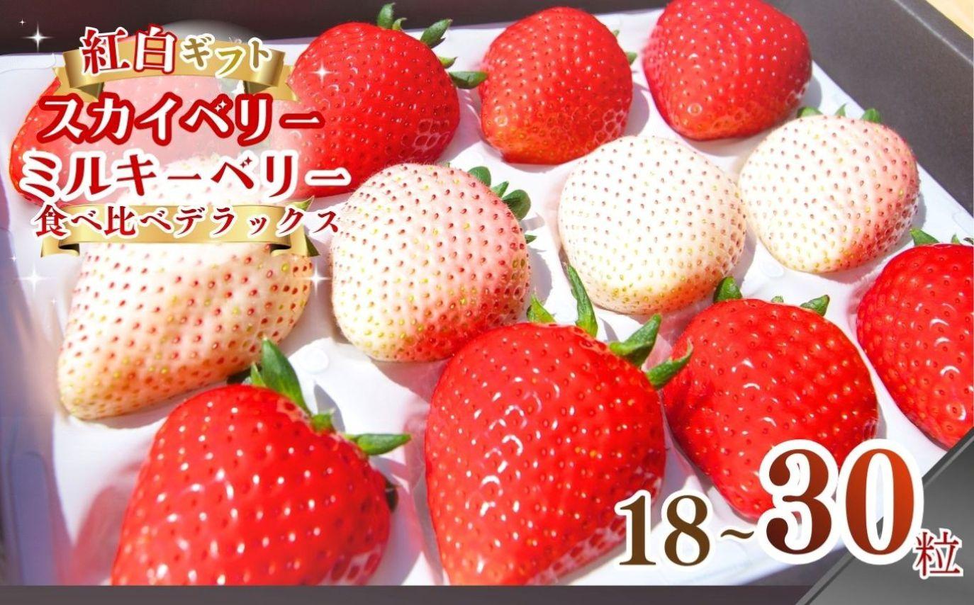 《１月より順次出荷》｜紅白ギフト！スカイベリー ミルキーベリー 食べ比べデラックス | 計約18~30粒 |いちご 苺 スカイベリー ミルキーベリー フルーツ 果物 ギフト 贈答用 ジューシー 甘い 美味しい 取り寄せ 贅沢 ご褒美 デザート ふるさと 納税 栃木県 矢板市