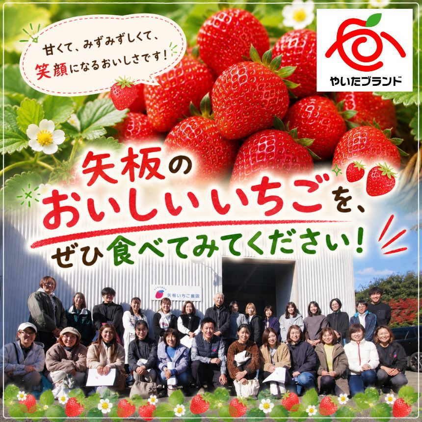 スカイベリー ミルキーベリー 食べ比べDX 約18～30粒【2027年1月以降発送】ギフト 贈答 |いちご 苺 フルーツ 果物  澳原いちご農園 栃木県 矢板市