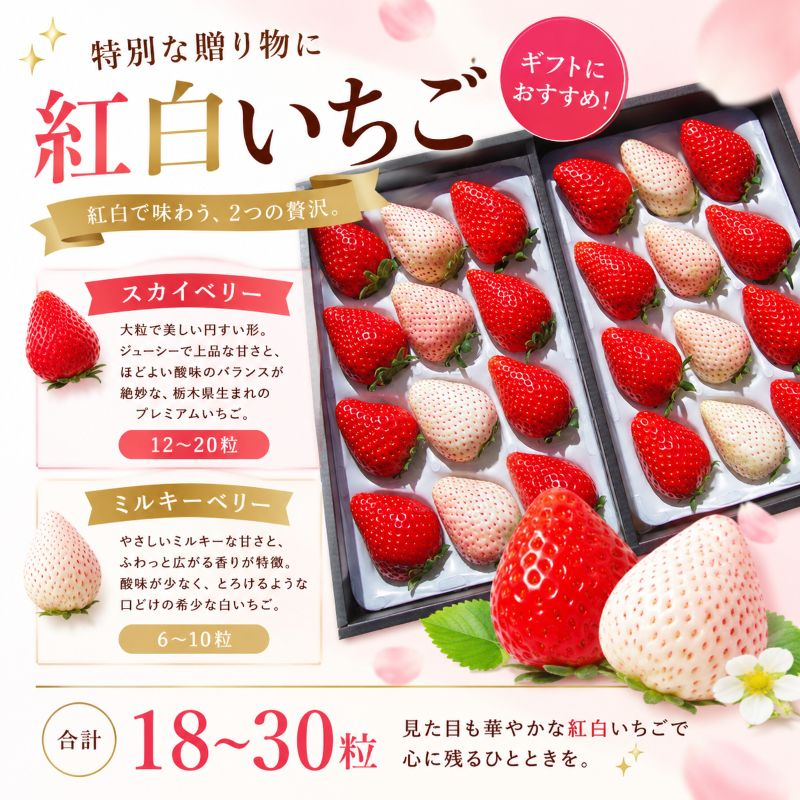 スカイベリー ミルキーベリー 食べ比べDX 約18～30粒【2027年1月以降発送】ギフト 贈答 |いちご 苺 フルーツ 果物  澳原いちご農園 栃木県 矢板市