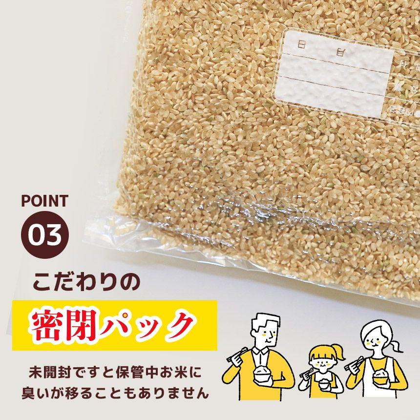 譬譛ィ逵檎肇 縺薙@縺イ縺九j 邇邀ウ 2kg 2026蟷エ 蜈郁。御コ育エ | 譬譛ィ逵 遏「譚ソ蟶