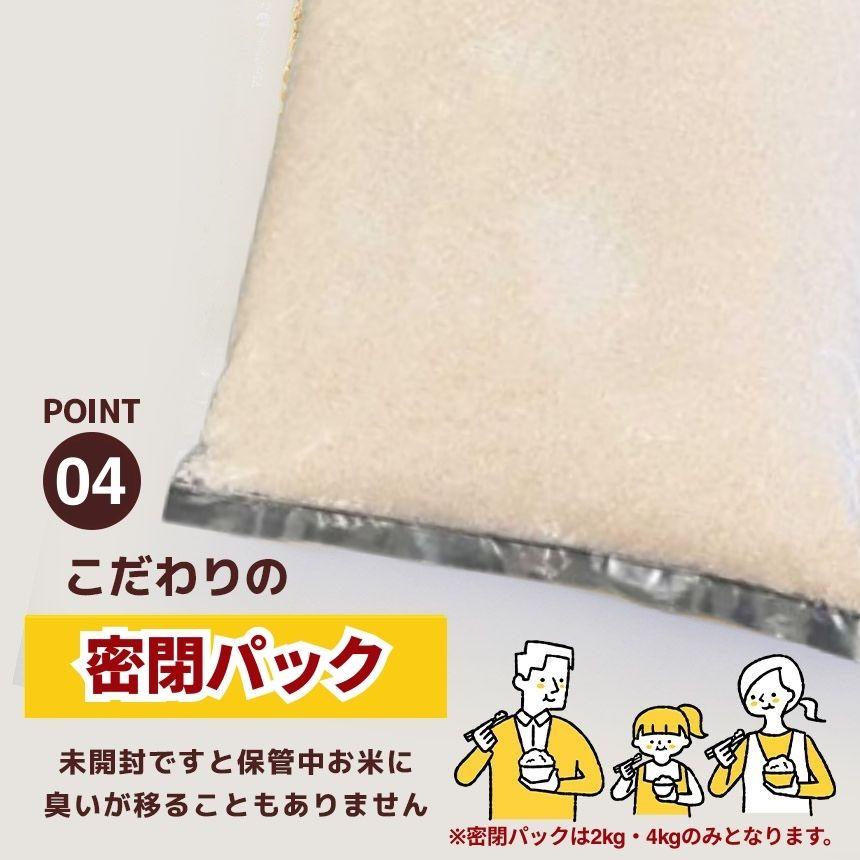 譬譛ィ逵檎肇 縺薙@縺イ縺九j 邇邀ウ 4kg 2026蟷エ 蜈郁。御コ育エ | 譬譛ィ逵 遏「譚ソ蟶