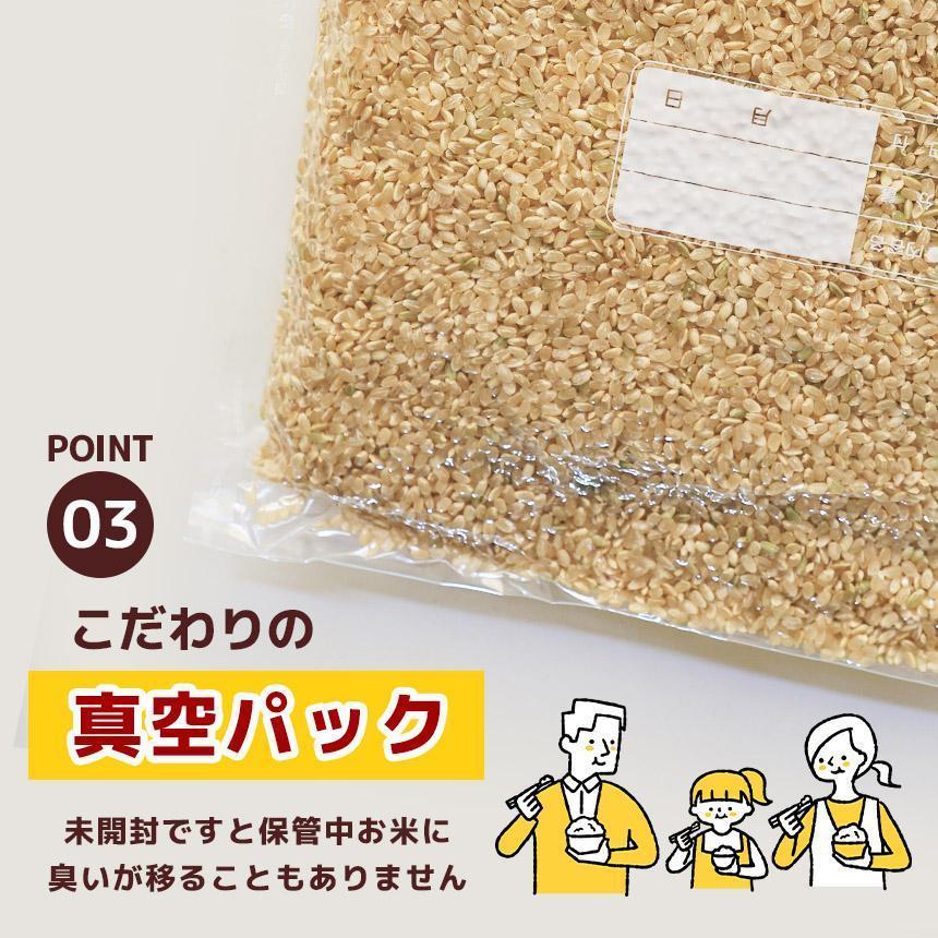 【定期便3回】栃木県産 とちぎの星 玄米 4kg 2026年 先行予約 | 栃木県 矢板市