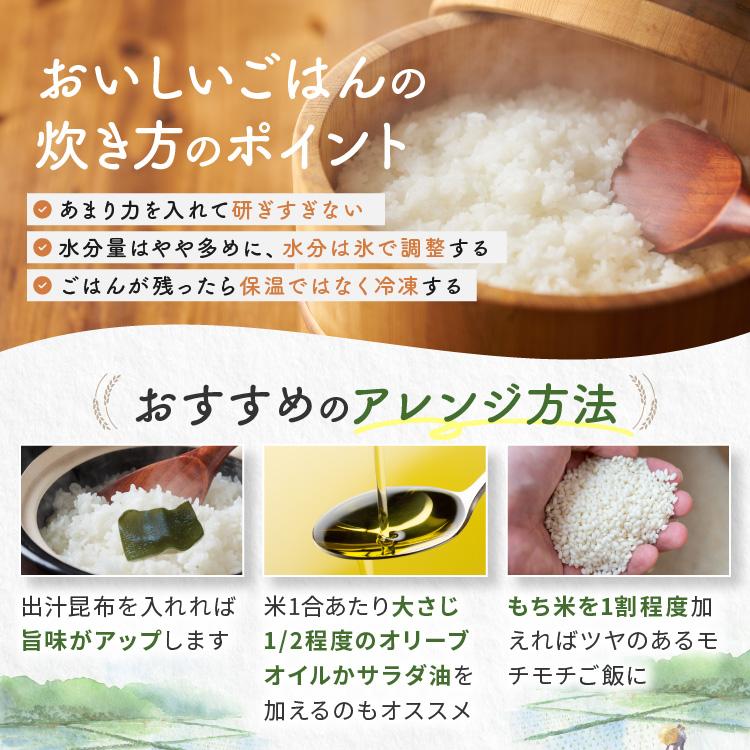栃木県産 ミルキークイーン 玄米 2kg 2026年 先行予約 | 栃木県 矢板市