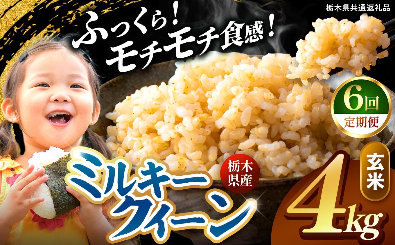 【定期便6回】栃木県産 ミルキークイーン 玄米 4kg 2026年 先行予約 | 栃木県 矢板市