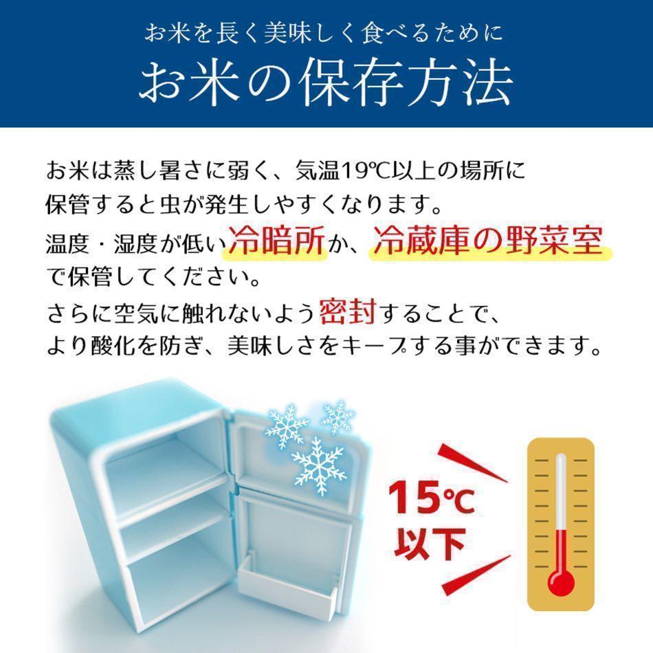 【定期便3回】栃木県産 ミルキークイーン 玄米 5kg 2026年 先行予約 | 栃木県 矢板市