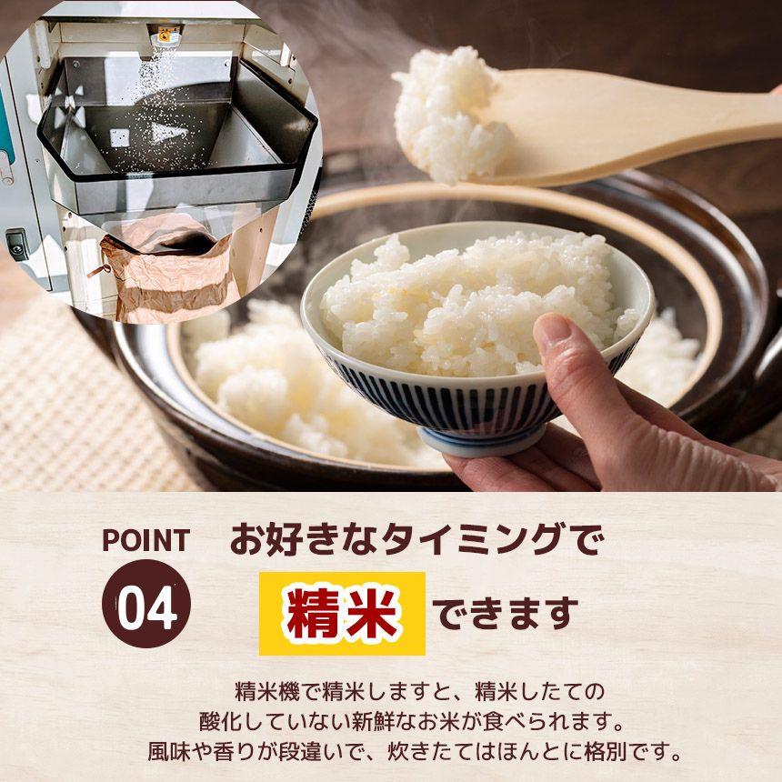 栃木県産 ミルキークイーン 玄米 10kg 2026年 先行予約 | 栃木県 矢板市