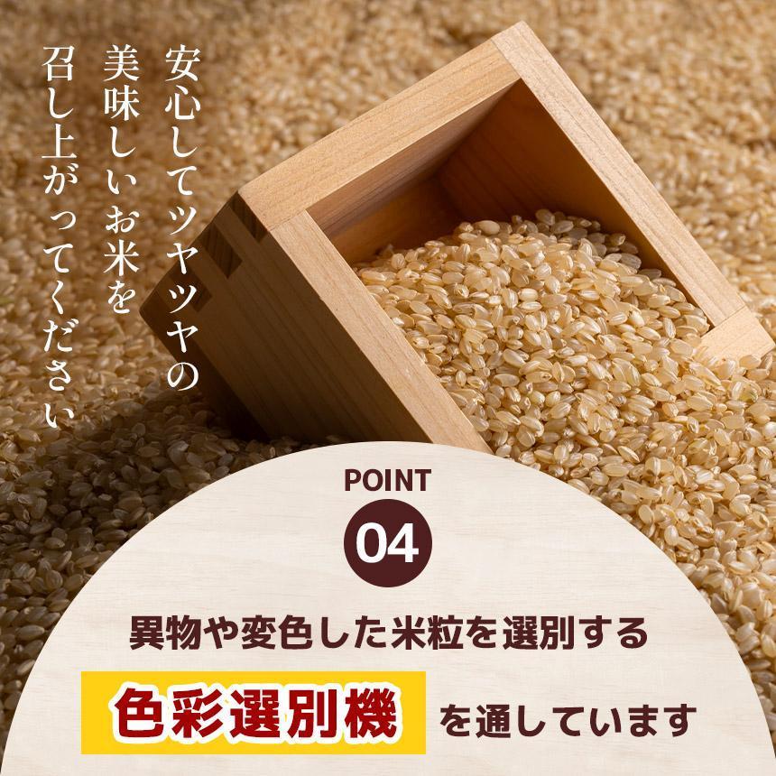 【定期便3回】栃木県産 こしひかり 白米 2kg 2026年 先行予約 | 栃木県 矢板市