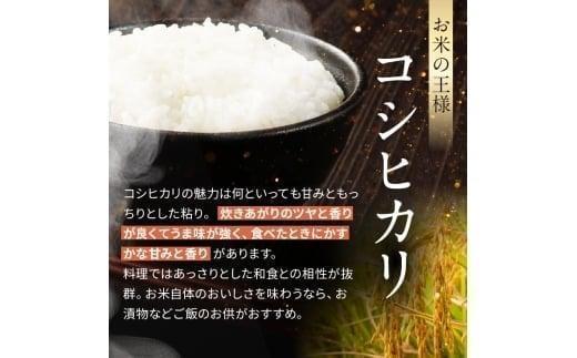 【定期便3回】栃木県産 こしひかり 白米 2kg 2026年 先行予約 | 栃木県 矢板市