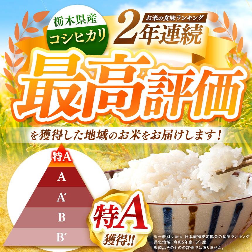 【定期便6回】栃木県産 こしひかり 白米 2kg 2026年 先行予約 | 栃木県 矢板市