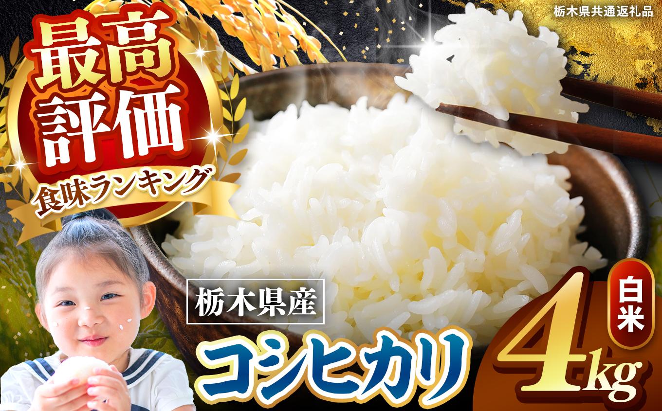 【定期便6回】栃木県産 こしひかり 白米 4kg 2026年 先行予約 | 栃木県 矢板市