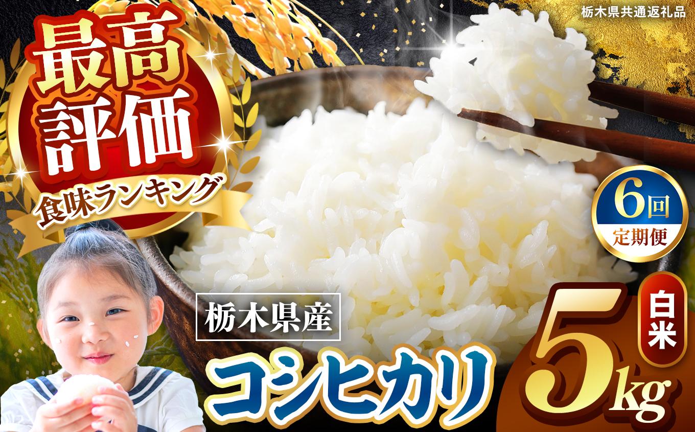 【定期便6回】栃木県産 こしひかり 白米 5kg 2026年 先行予約 | 栃木県 矢板市